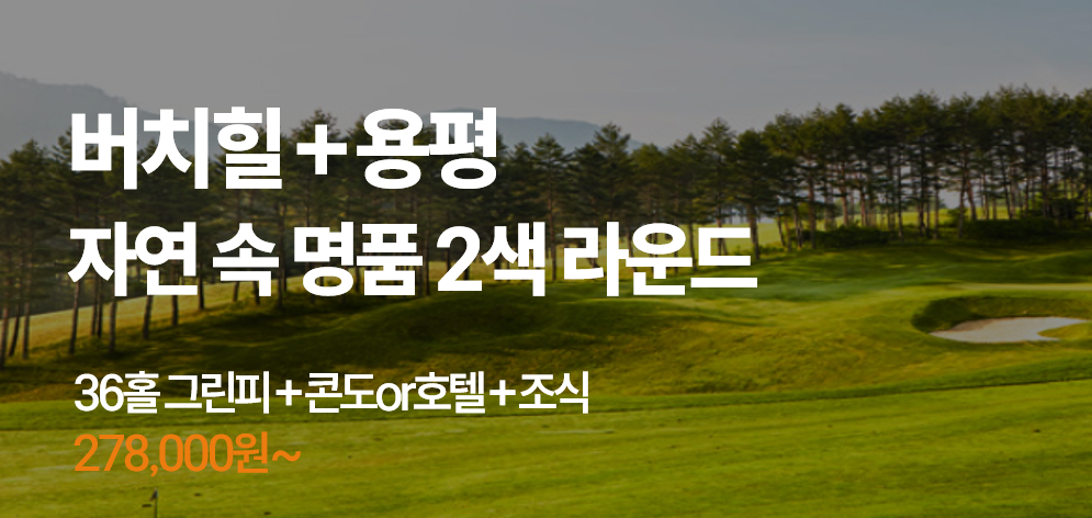 버치힐+용평