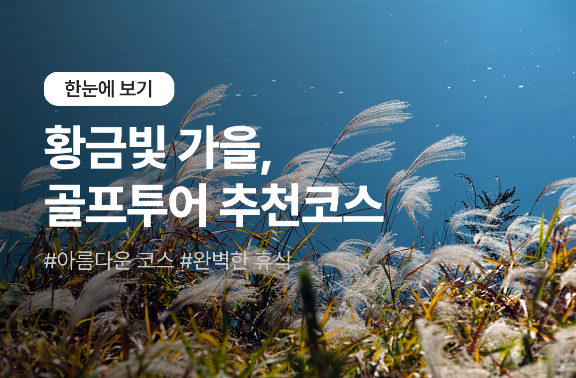 이벤트 배너 