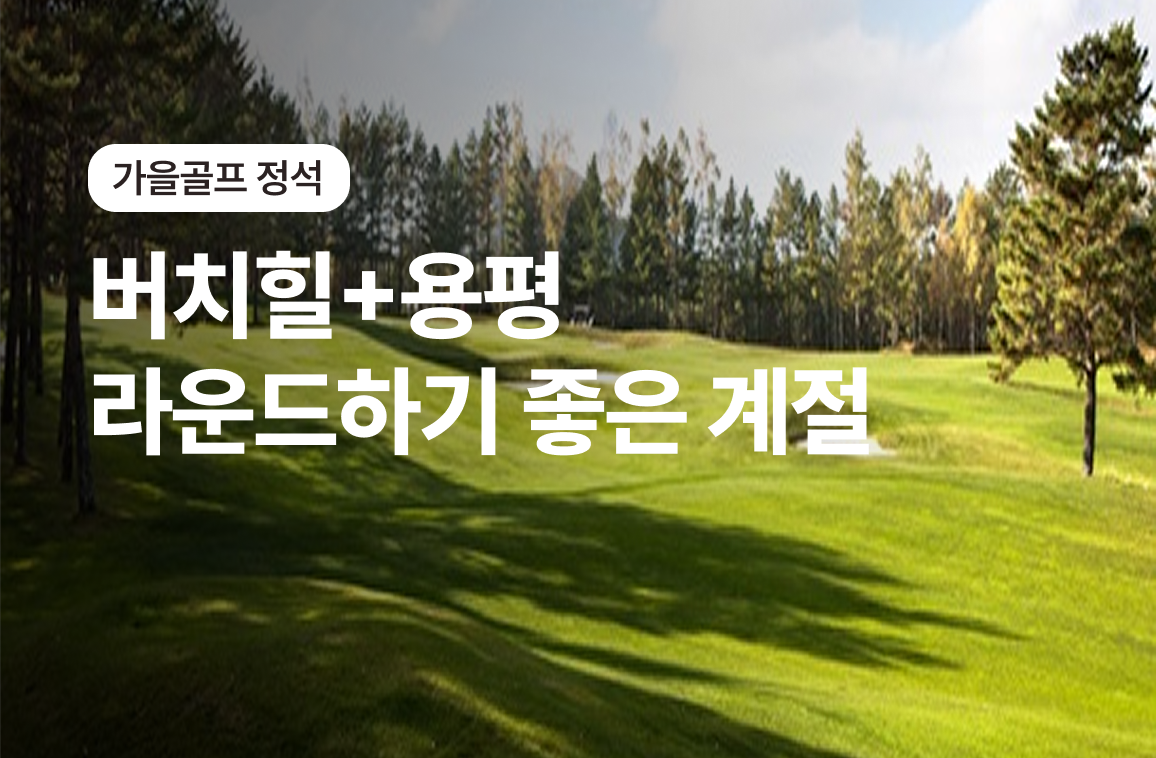 강원 