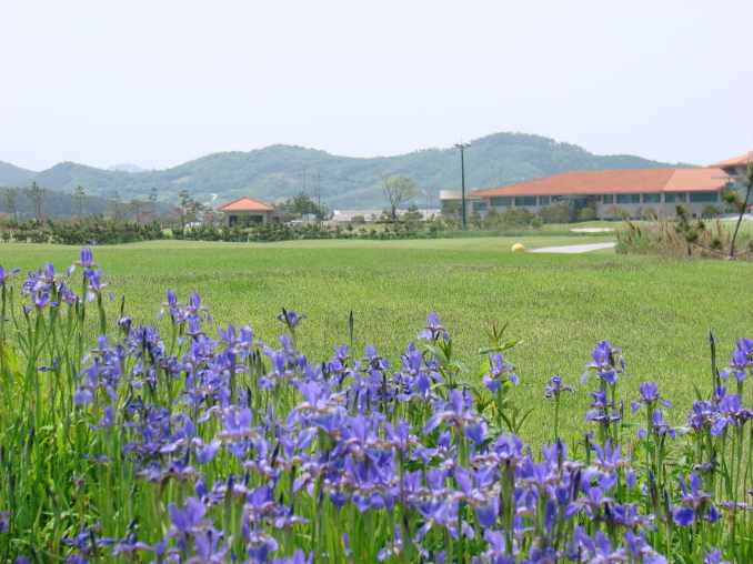 고창CC[2인전용]