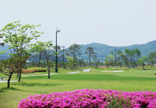 고창CC 